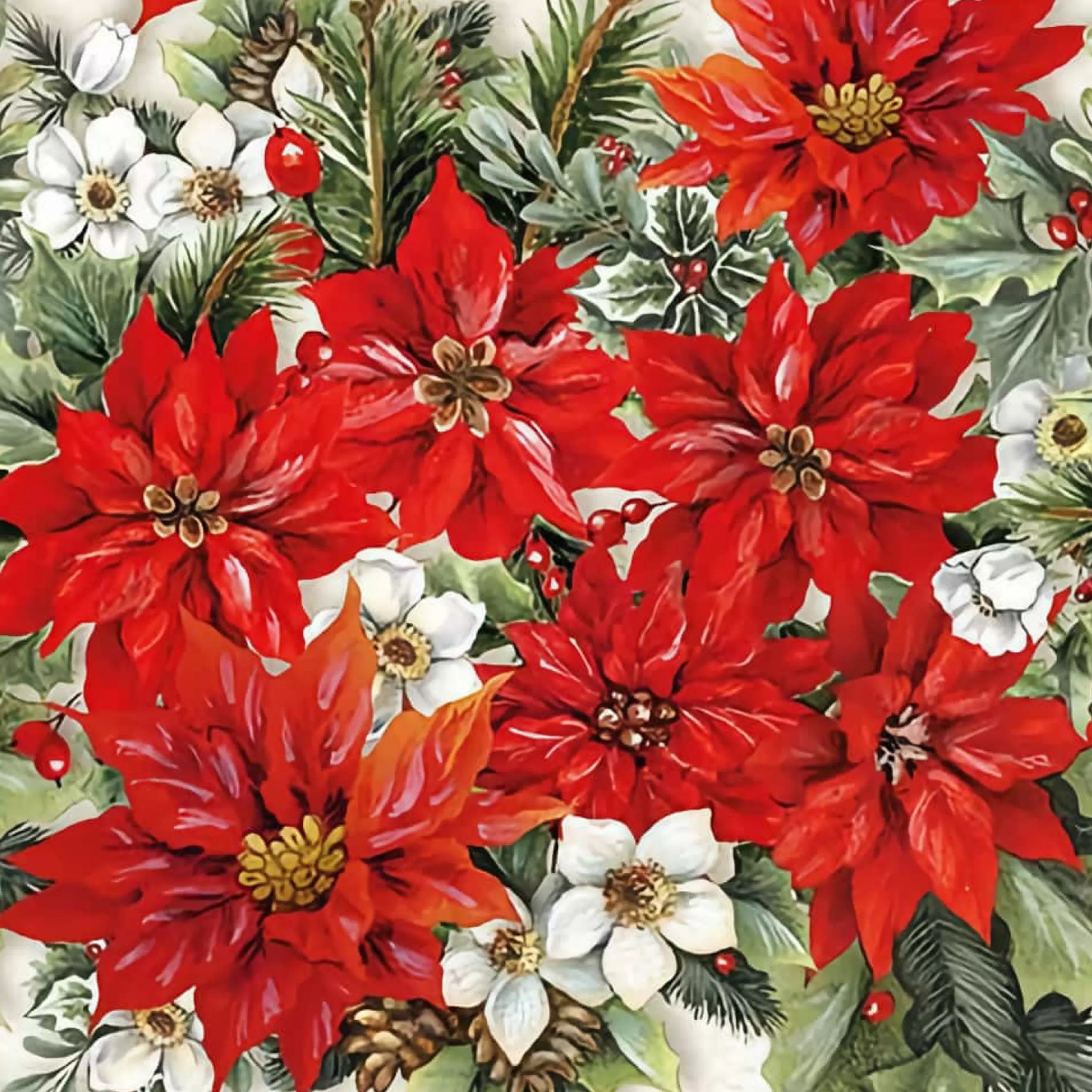 Online * Poinsettia All Over Luncheon Napkins (Pack Of 20) - 33Cm