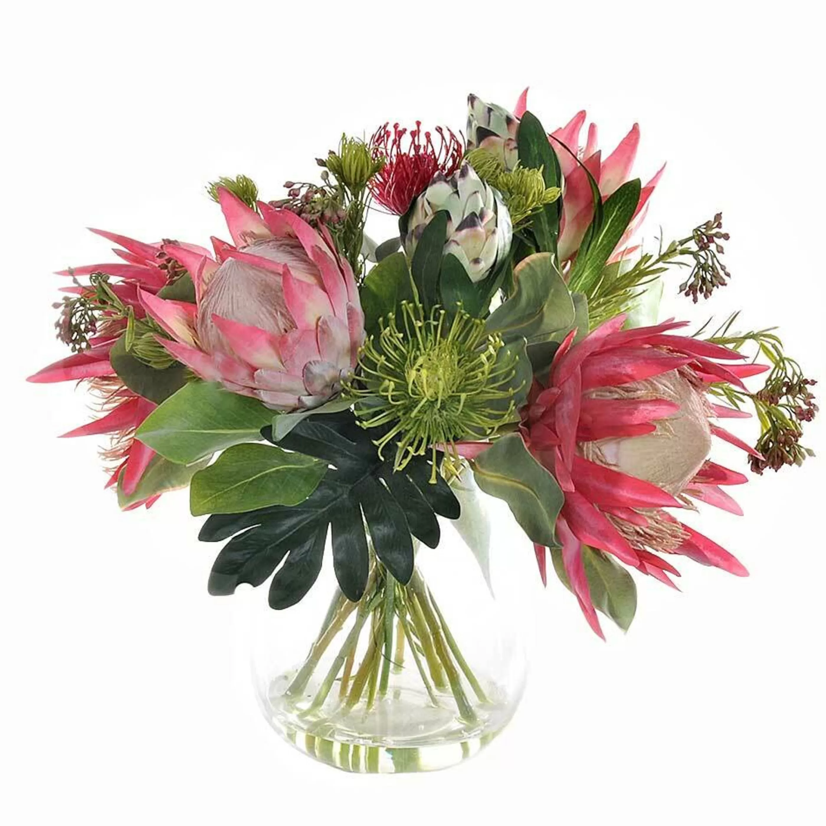 * Floristry | Protea King Leuca Mix In Vase Fushia Green - 46Cm