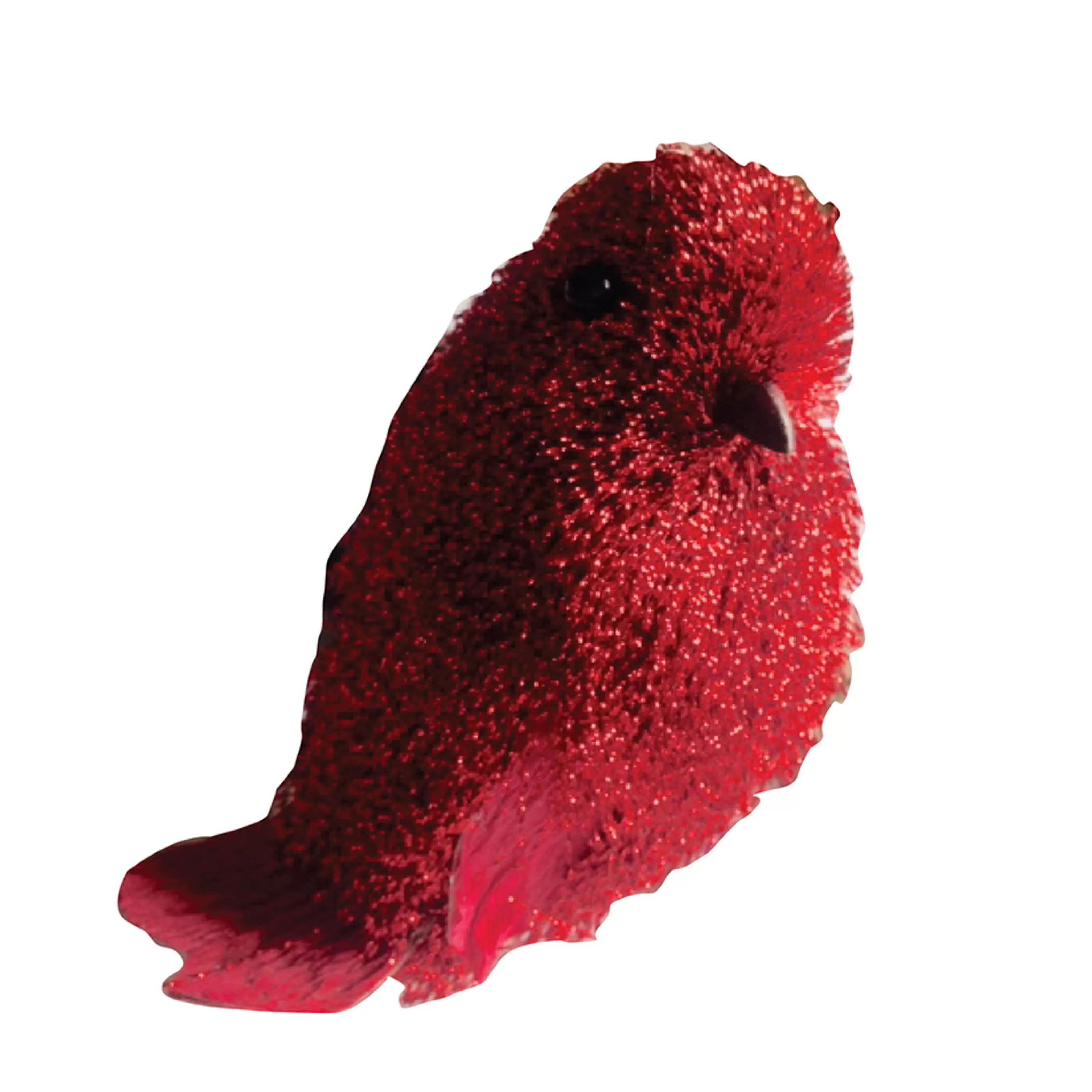 * Birds & Butterflies | Red Bird With Shimmer - 10Cm