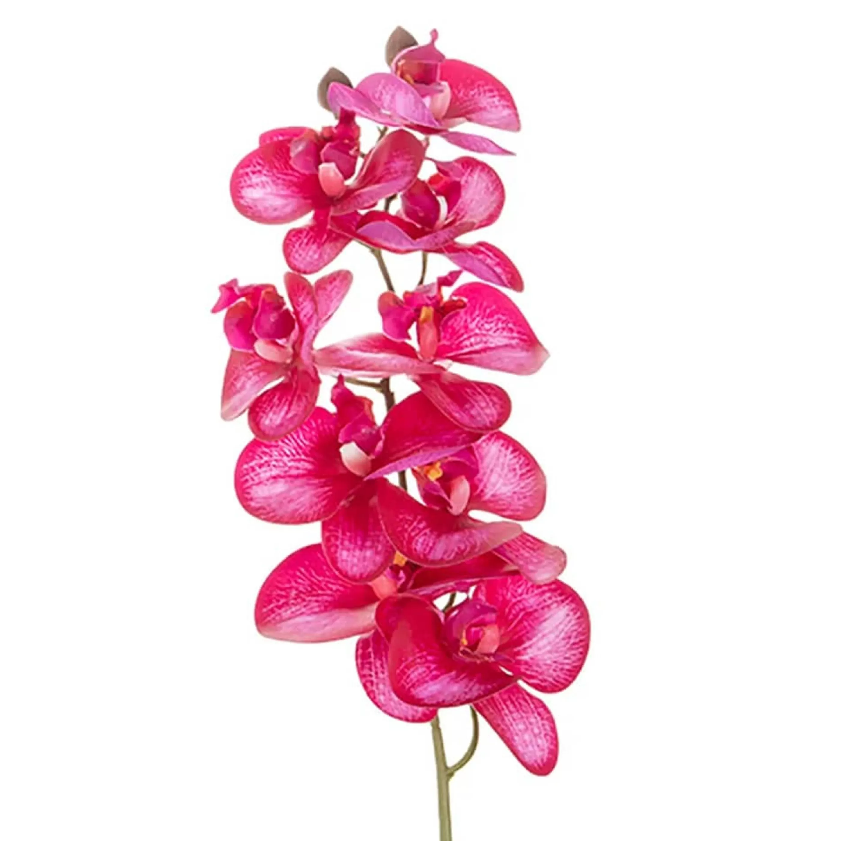 * Floristry | Red Phalaenopsos Orchid Stem - 85Cm