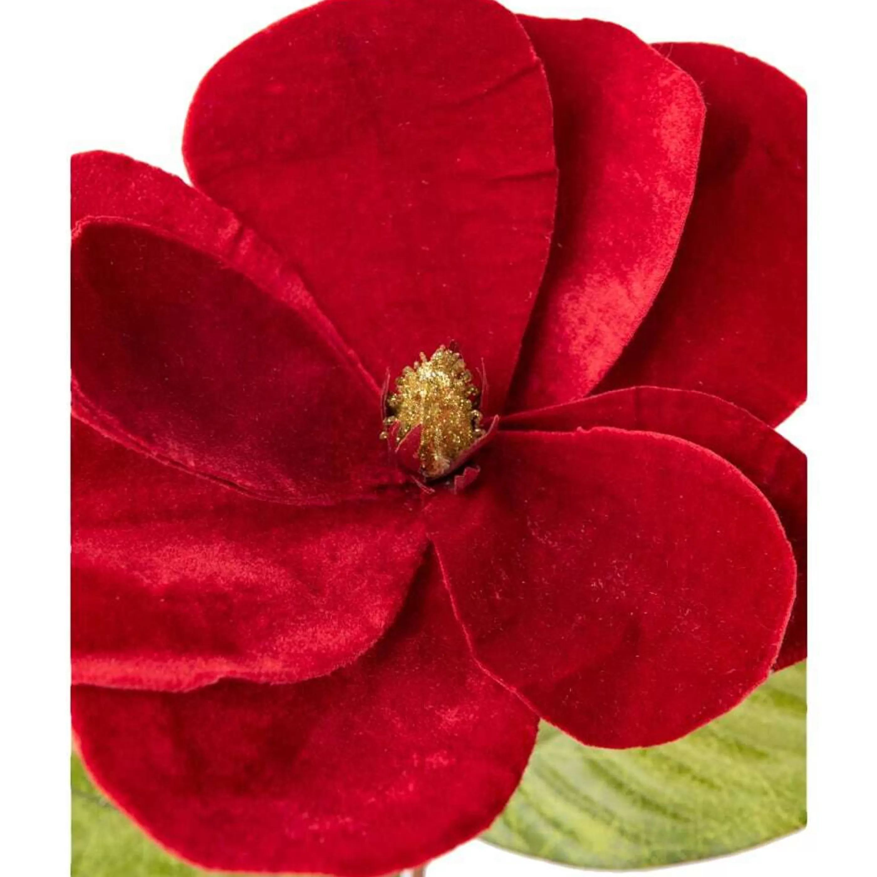 * Floristry | Red Velvet Magnolia - 72Cm