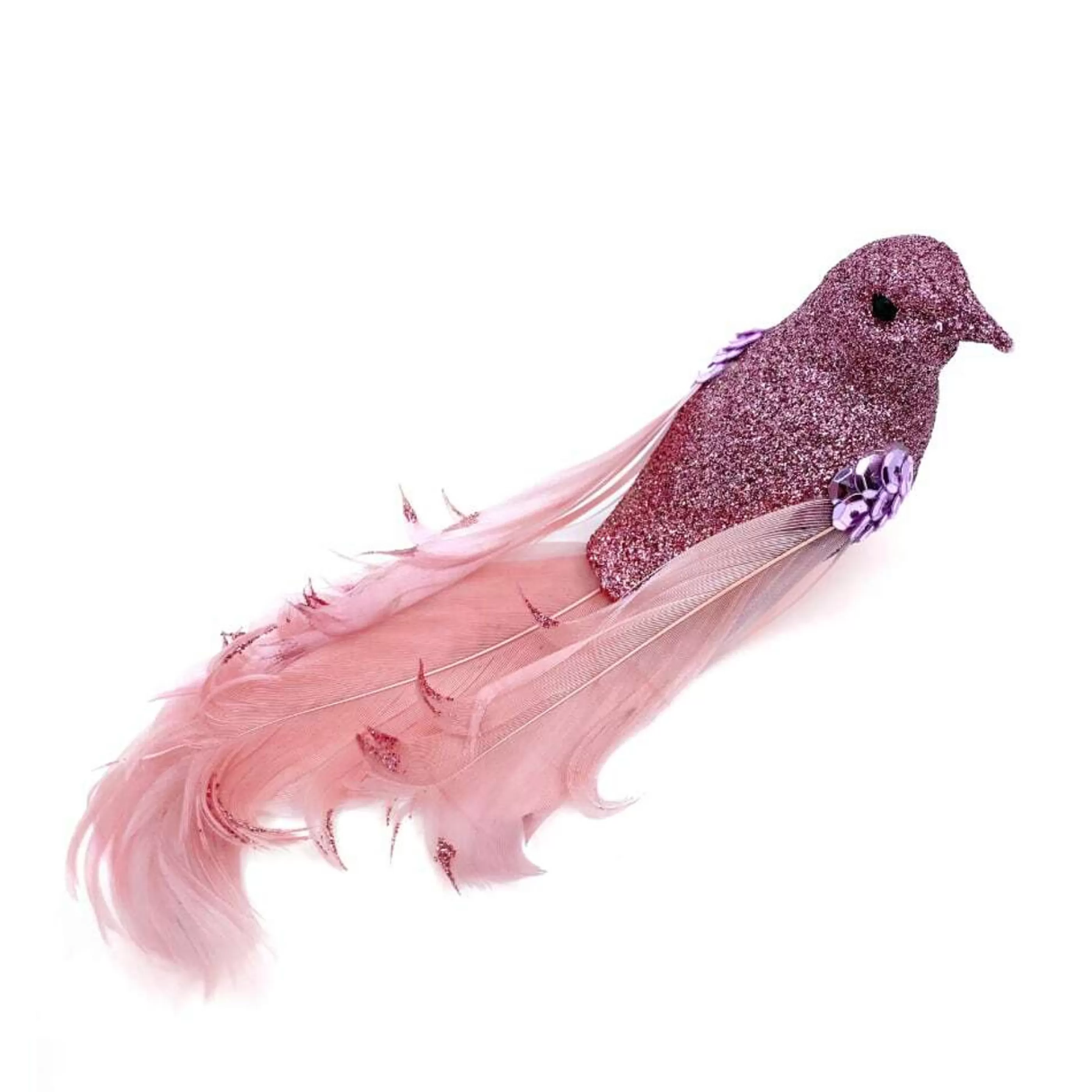 * Birds & Butterflies | Rose Feather Tail Bird - 17Cm