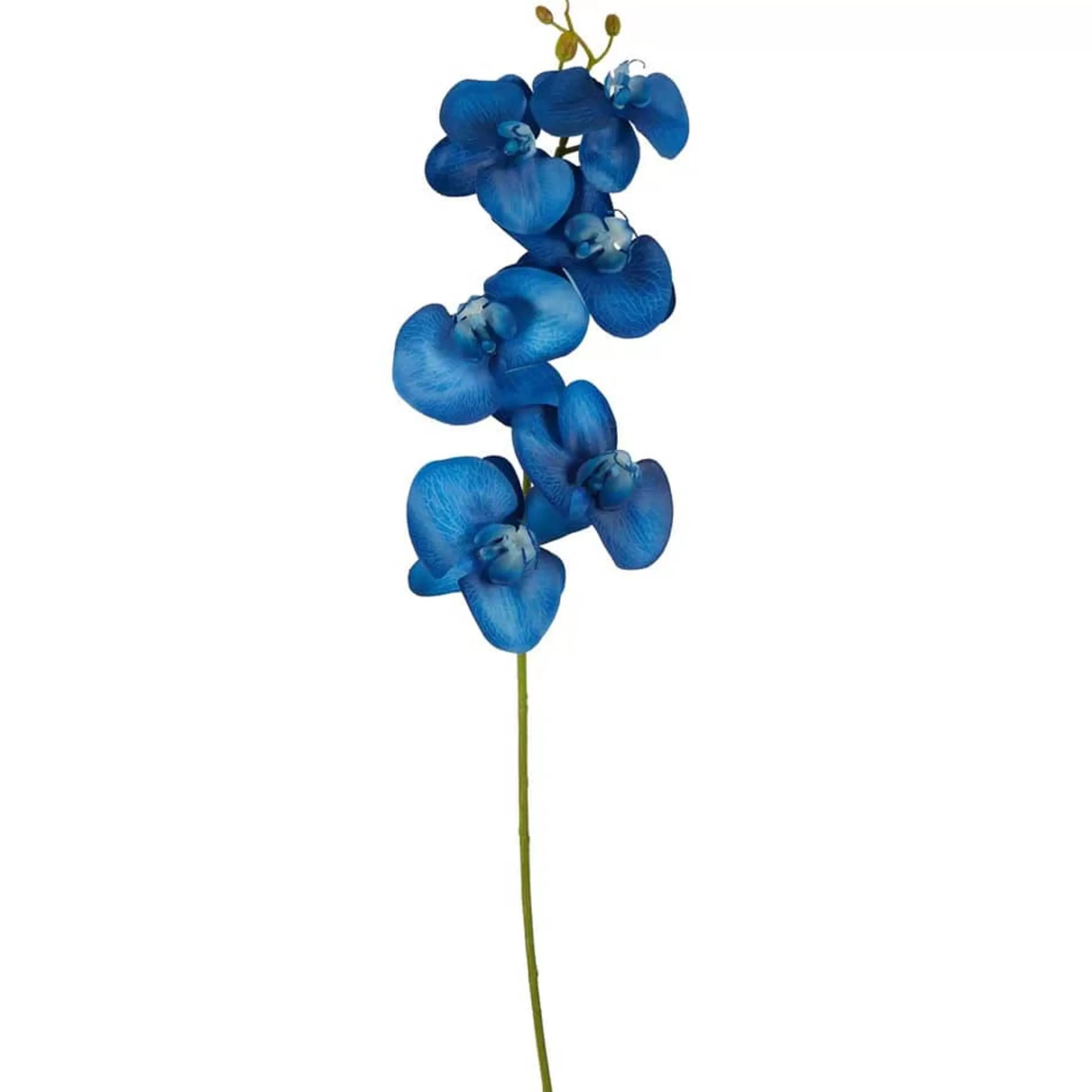 * Floristry | Royal Blue Phalaenopsis Orchid Stem - 80Cm