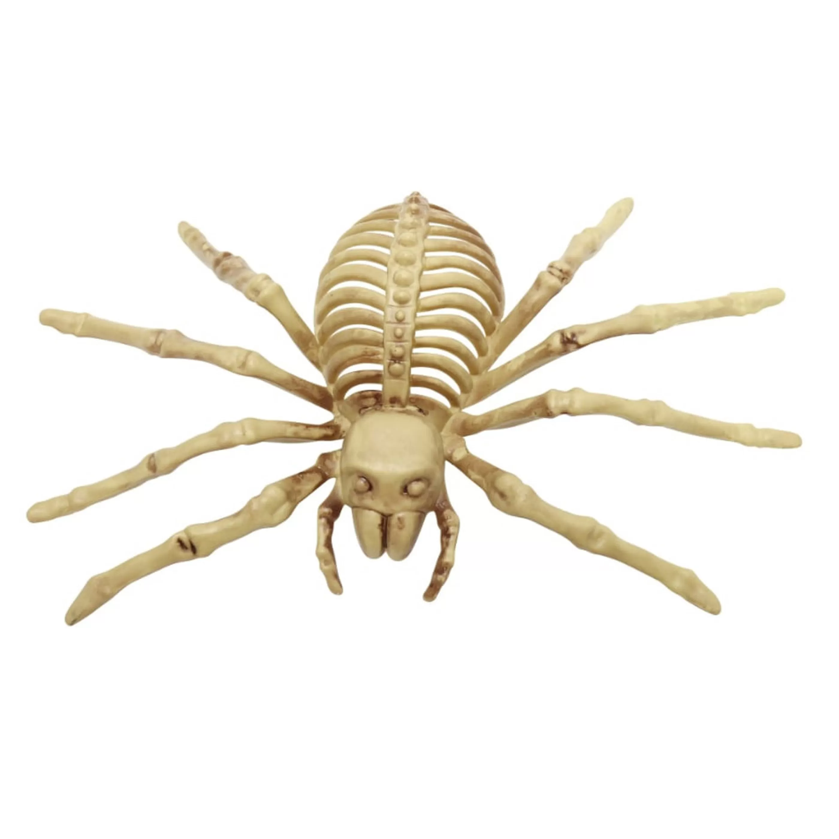 Best Sale Witches of Halloween Skeleton Spider - 25Cm