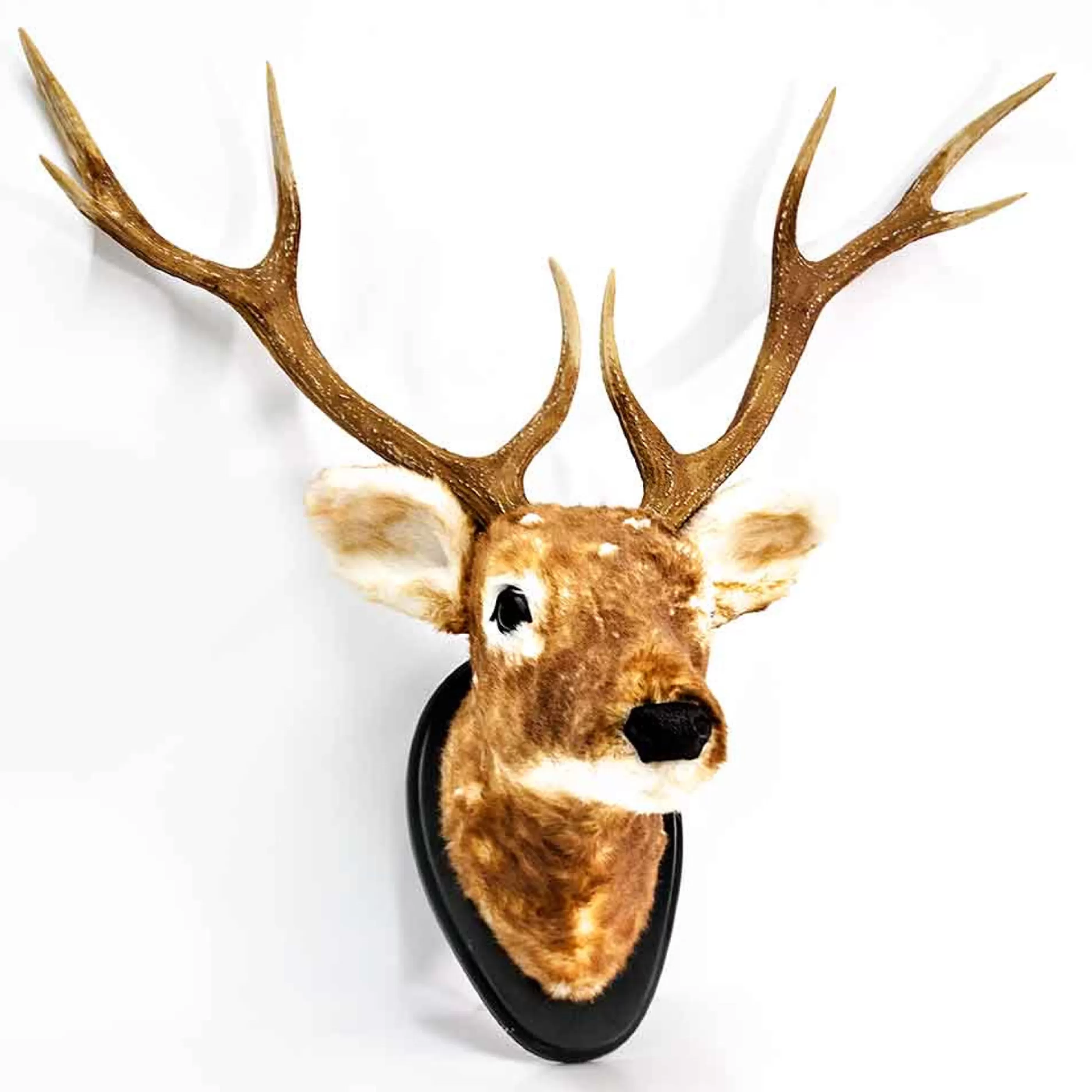 RAZ Imports Wall Signs & Decorations | Spotted Deer Head - 80Cm