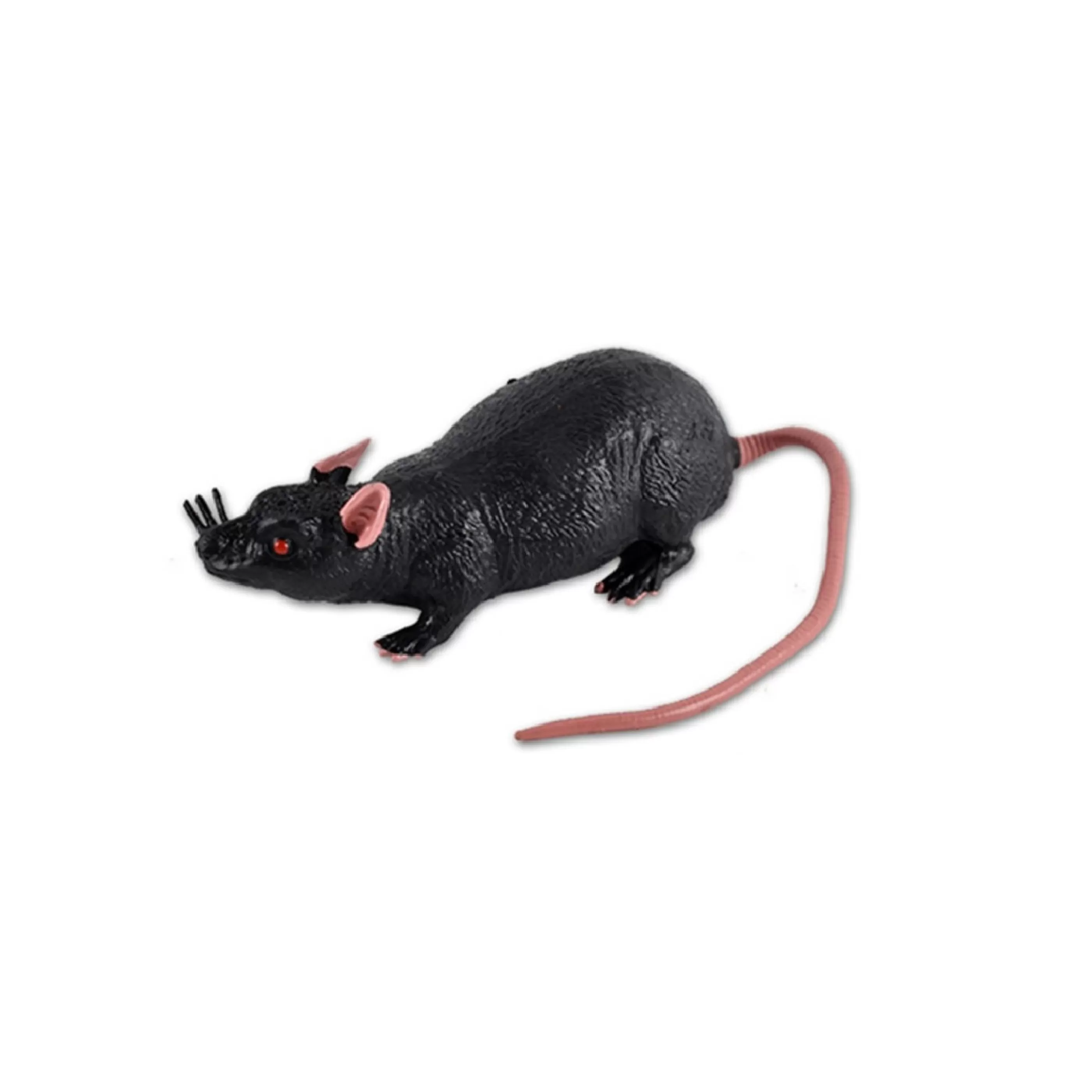 Clearance Witches of Halloween Stretchy Bat Rat (2 Styles) - 24Cm