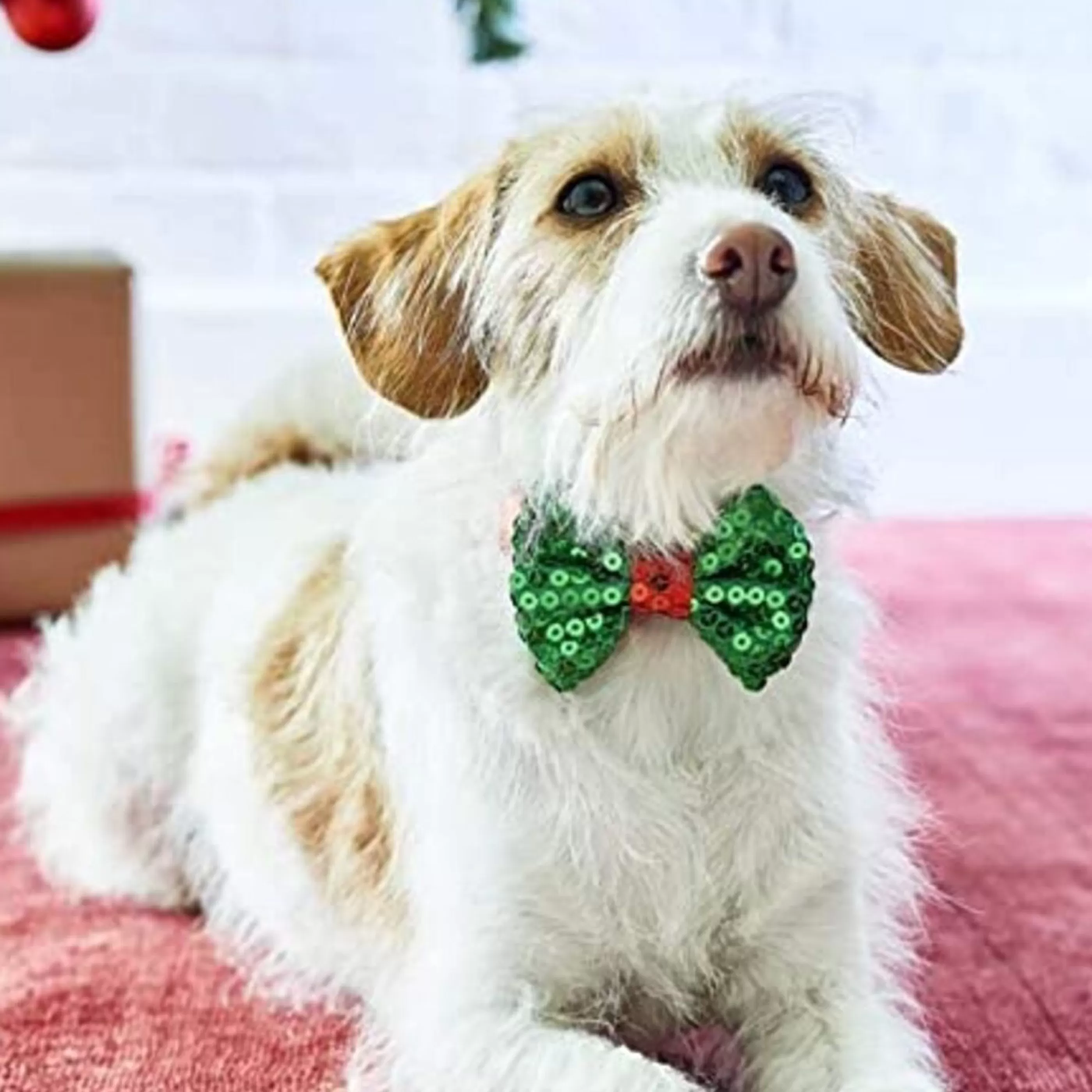 * Pets Christmas | Talking Table Christmas Fun Dog Bow Tie