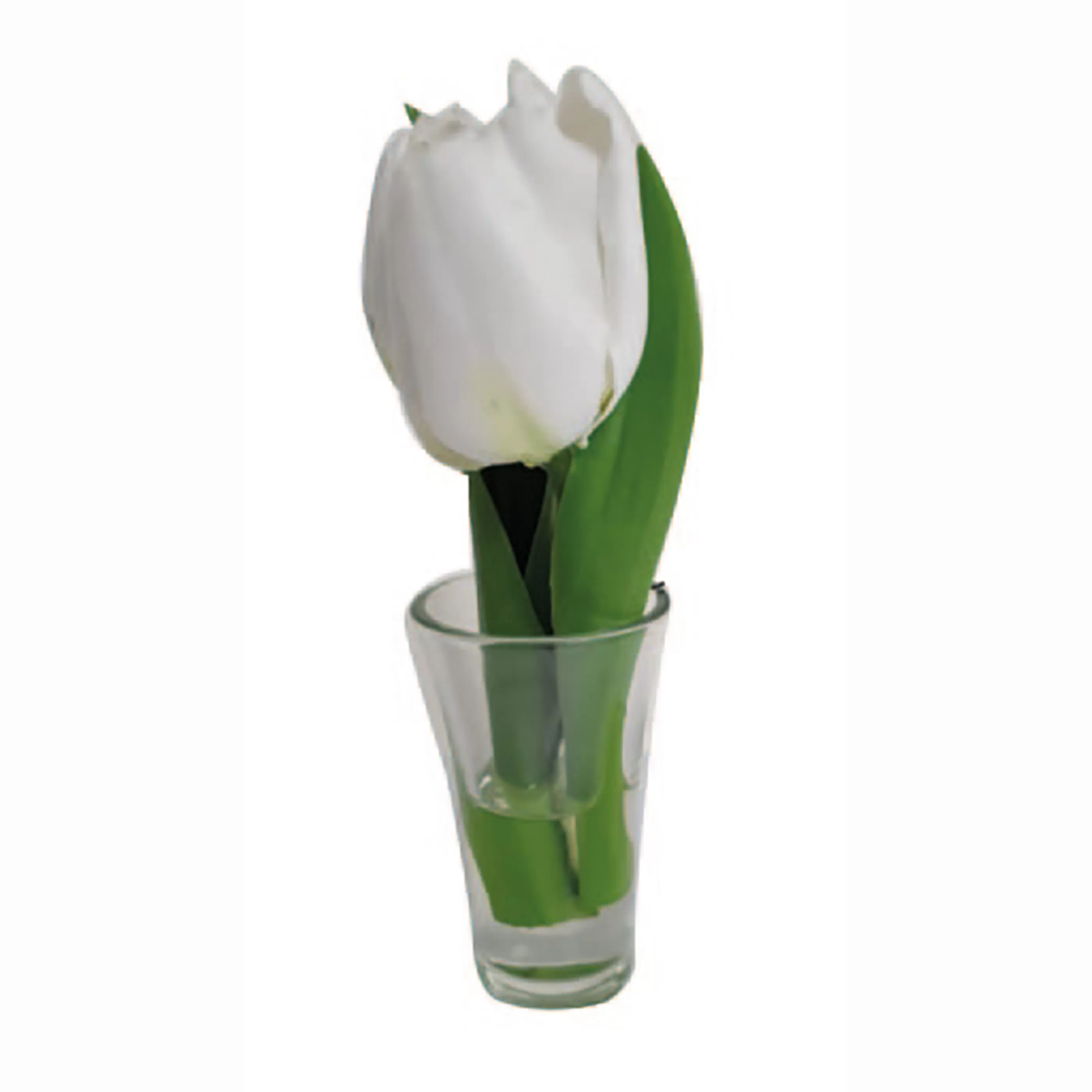 * Floristry | Tulips In Glass White - 19Cm