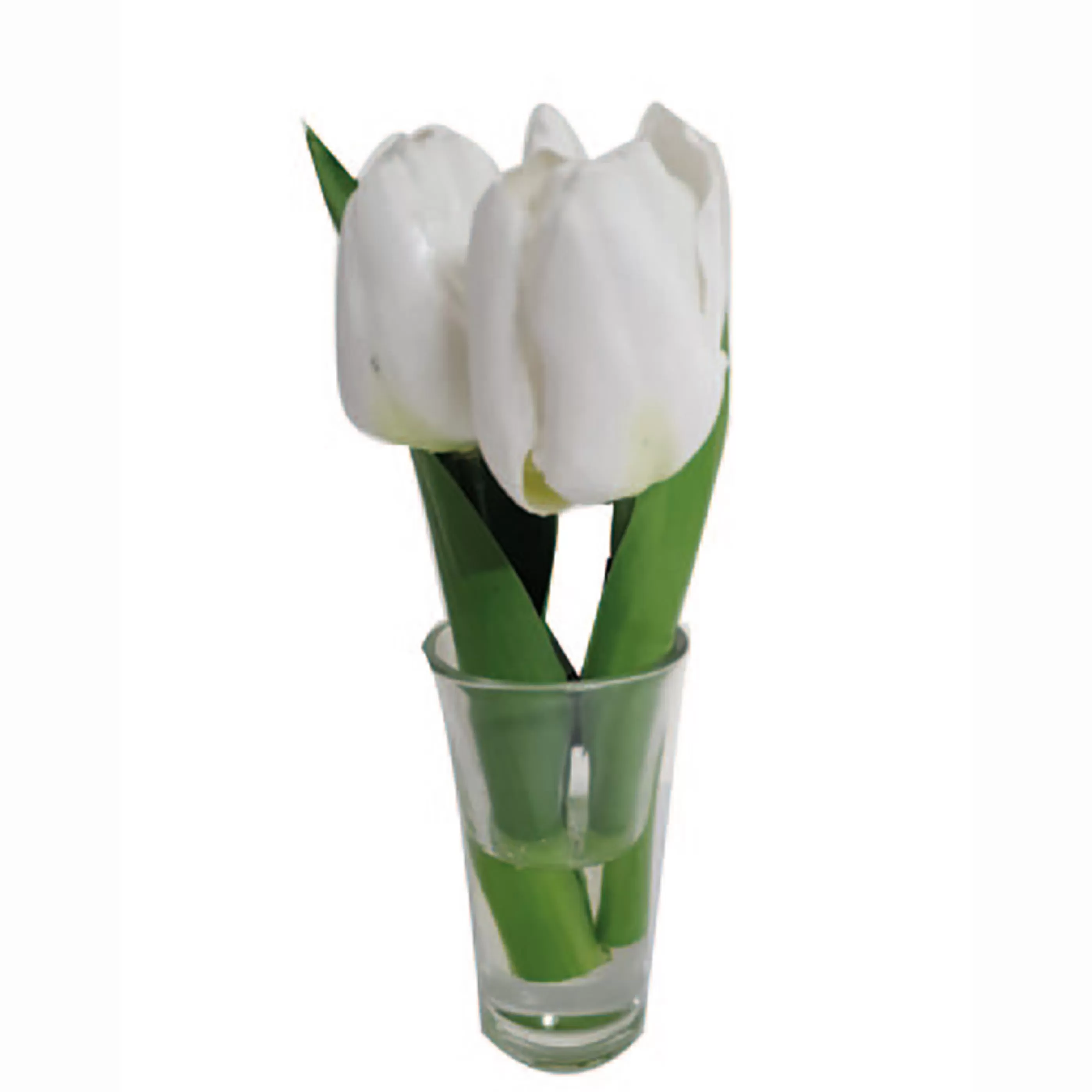 * Floristry | Tulips In Glass White - 19Cm