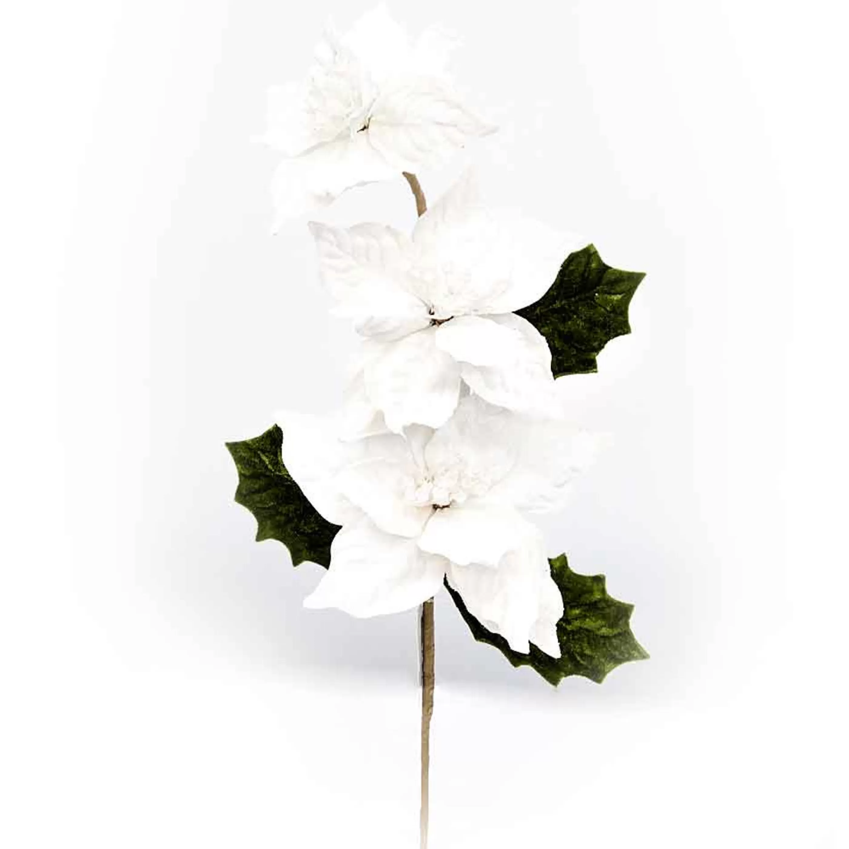 * Poinsettia Decorations | Velvet Ivory (X3 Flowers) Poinsettia On Stem - 50Cm