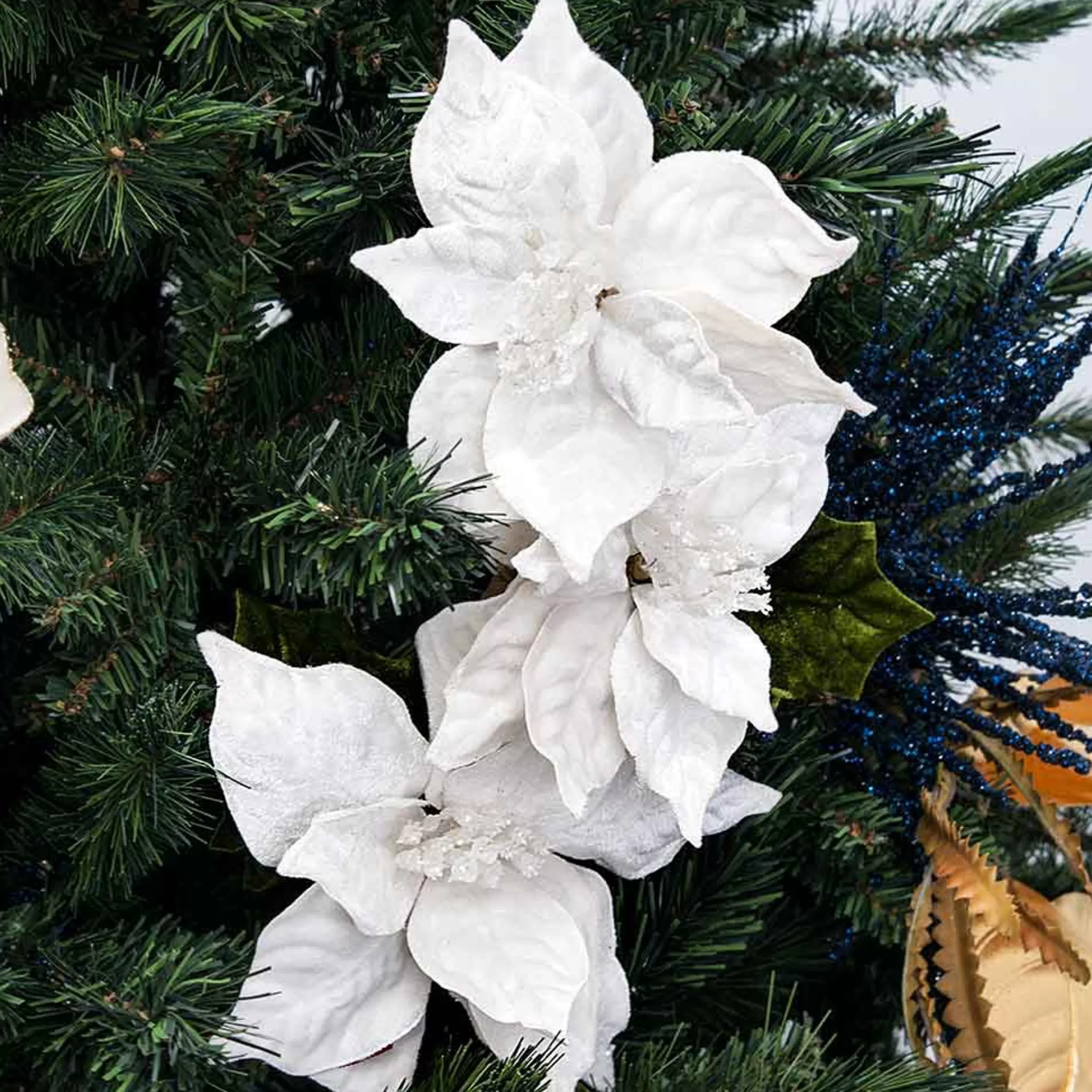 * Poinsettia Decorations | Velvet Ivory (X3 Flowers) Poinsettia On Stem - 50Cm