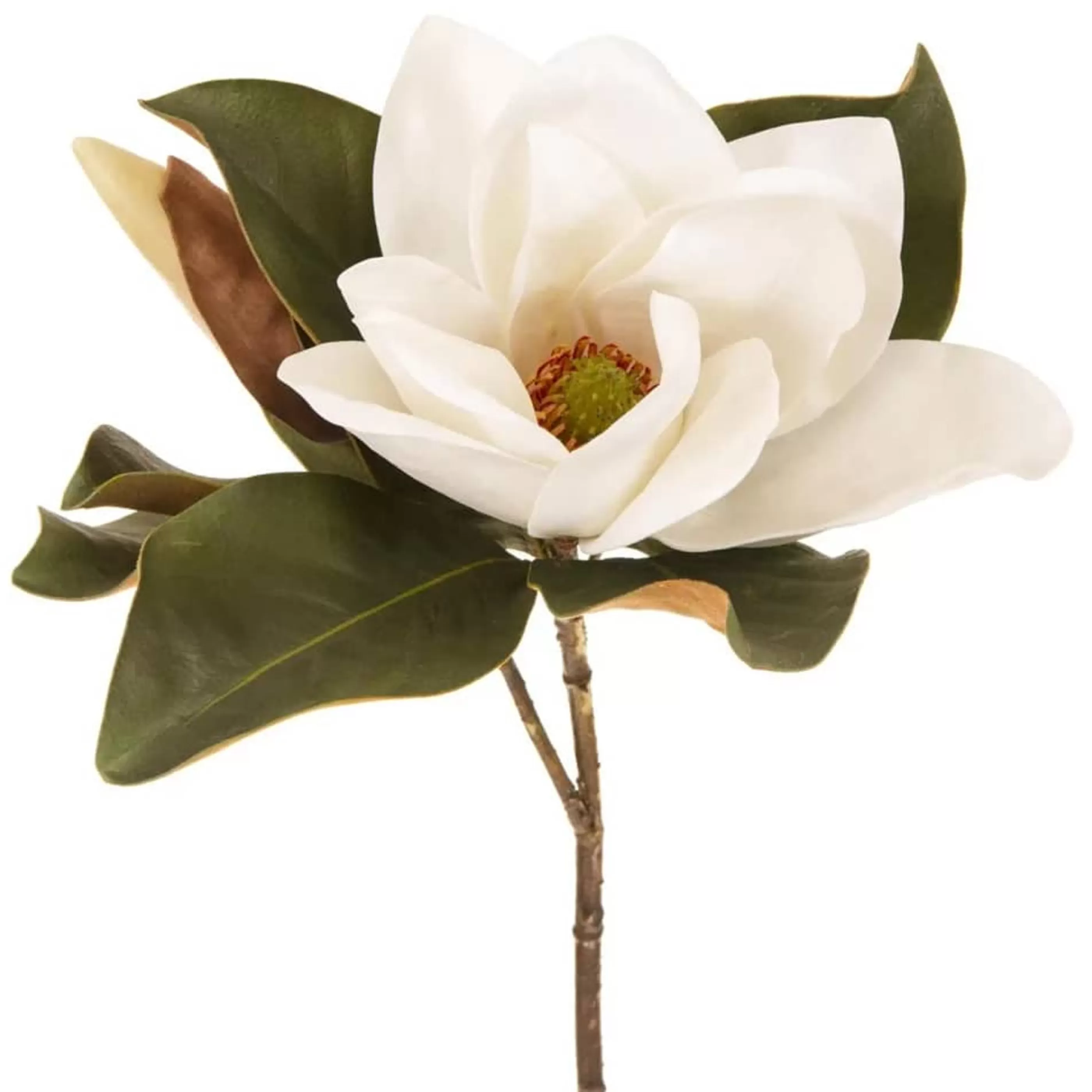 * Floristry | White Magnolia Flower - 72Cm