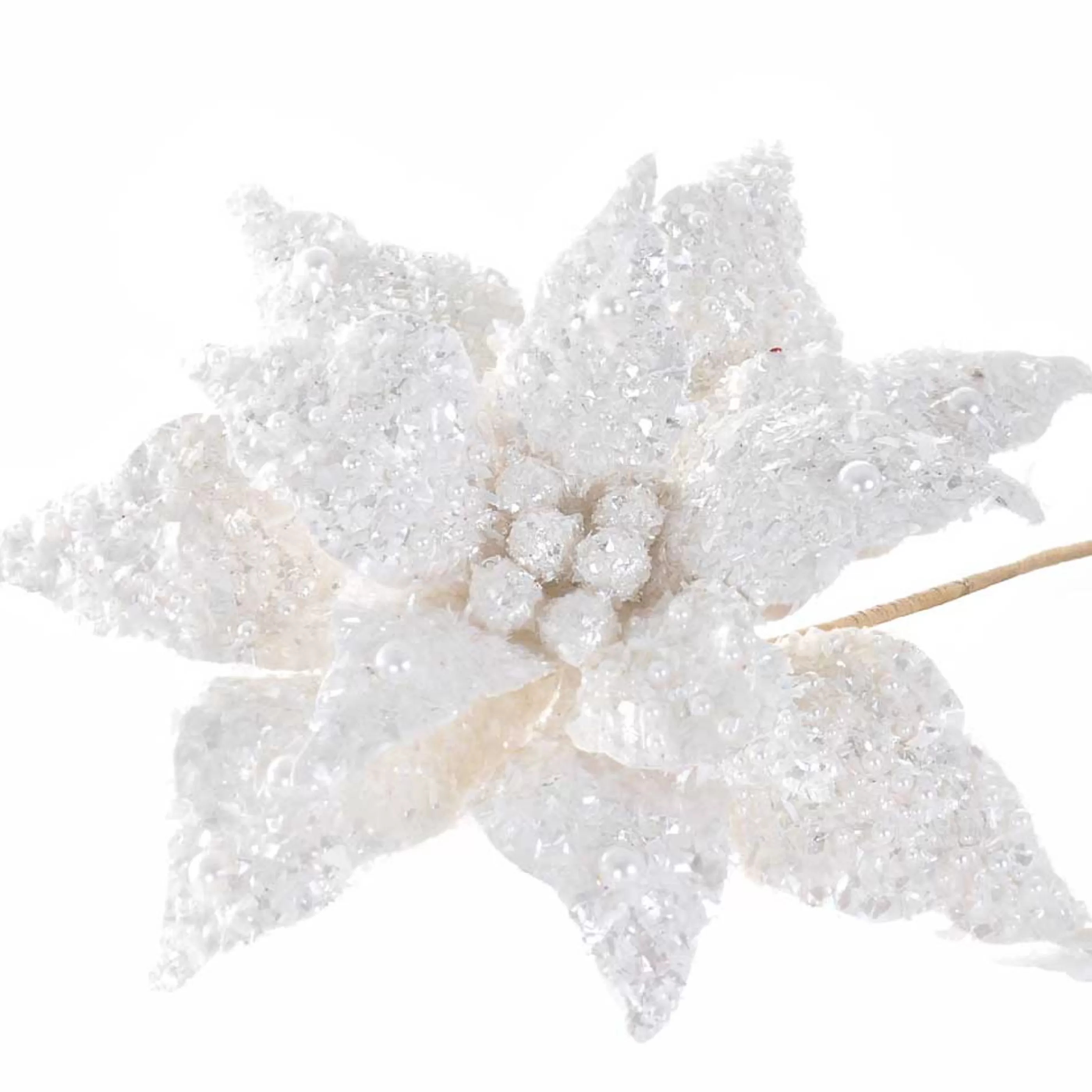 * Poinsettia Decorations | White Poinsettia With Pearl Highlights - 30Cm