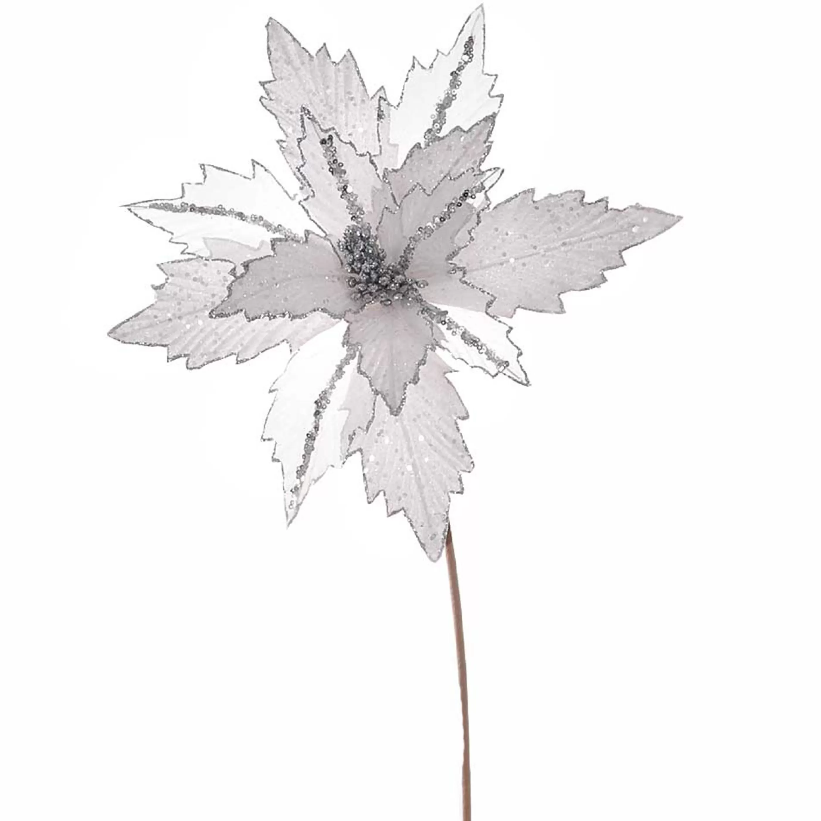 * Floristry | White Poinsettia With Silver Glitter - 36Cm