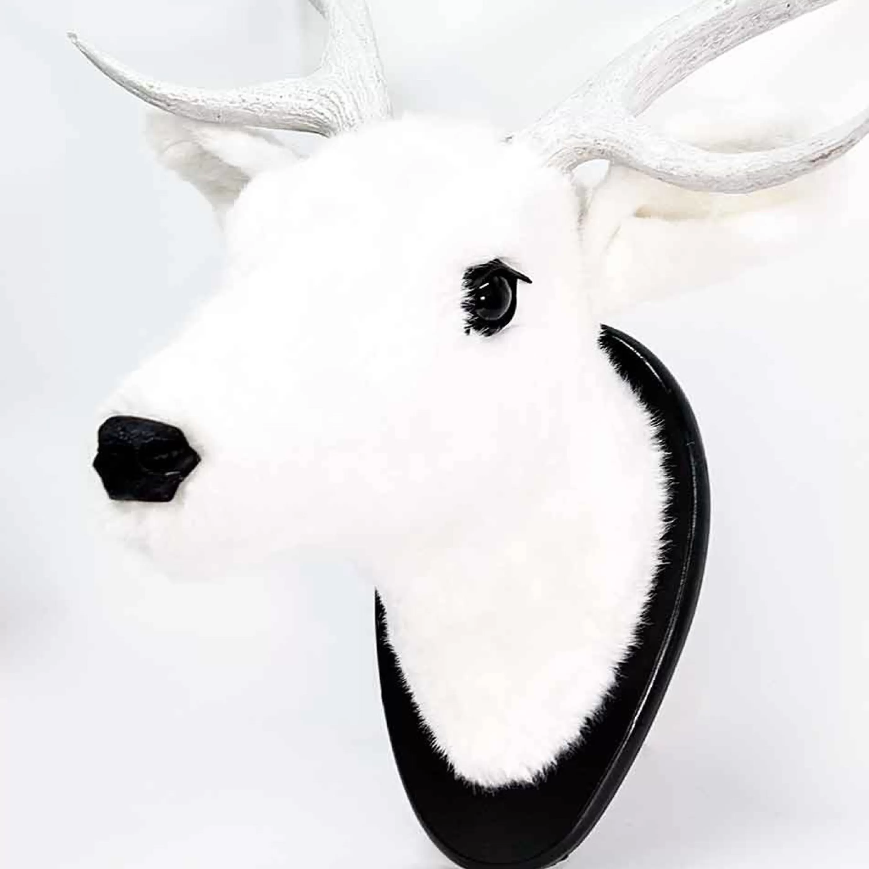 * Wall Signs & Decorations | White Spotted Deer Head - 80Cm