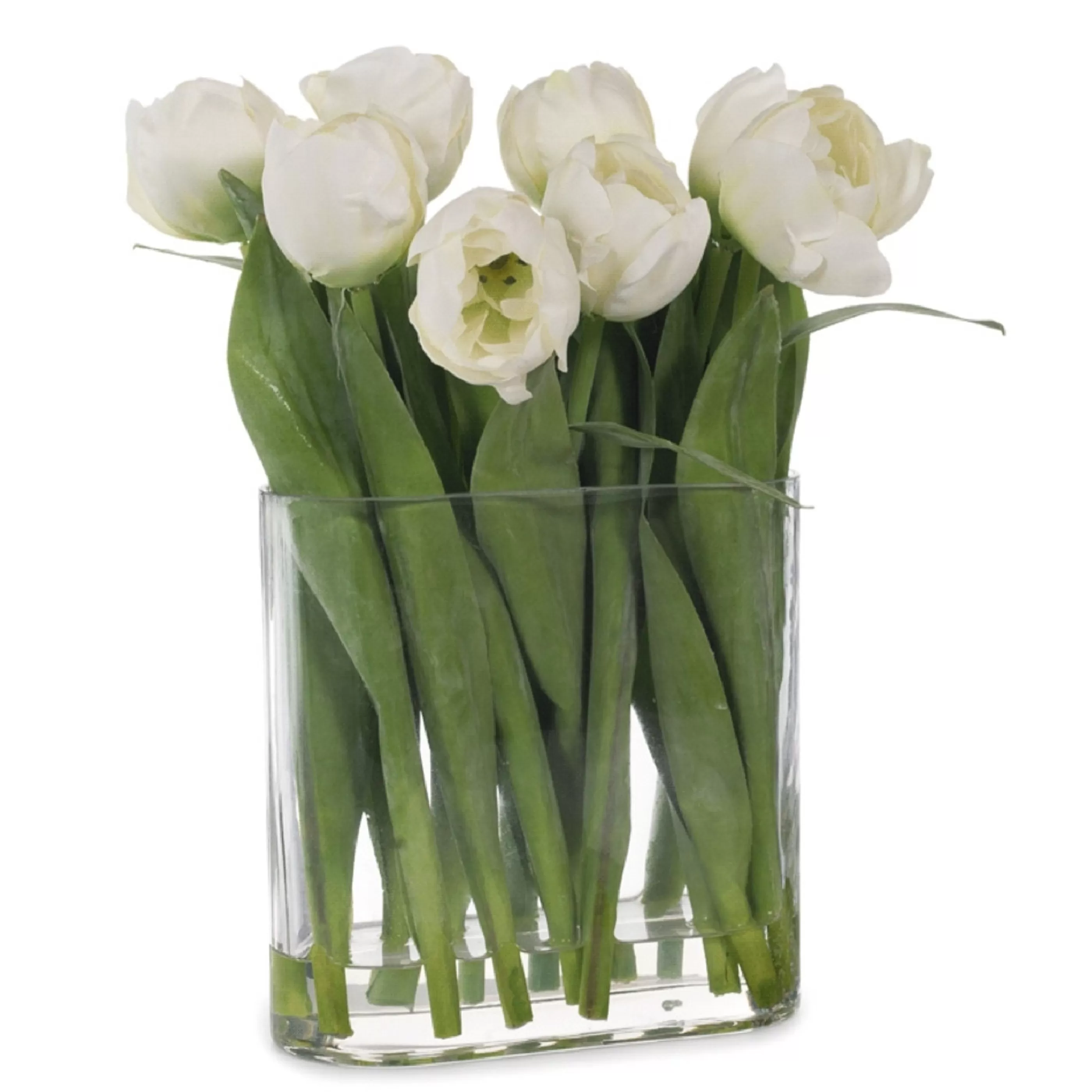 * Floristry | White Tulips In Oval Vase With Water - 31Cm