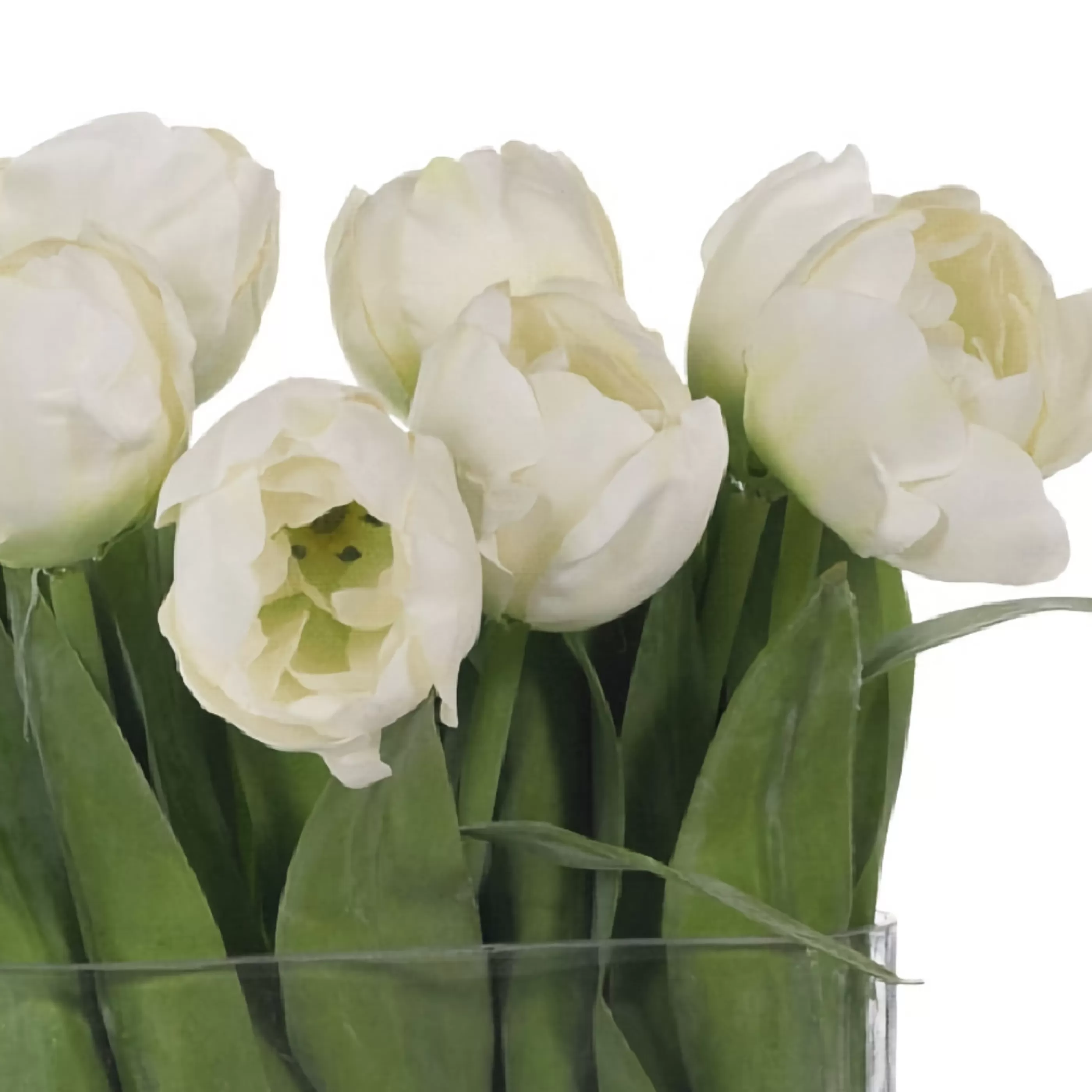 * Floristry | White Tulips In Oval Vase With Water - 31Cm