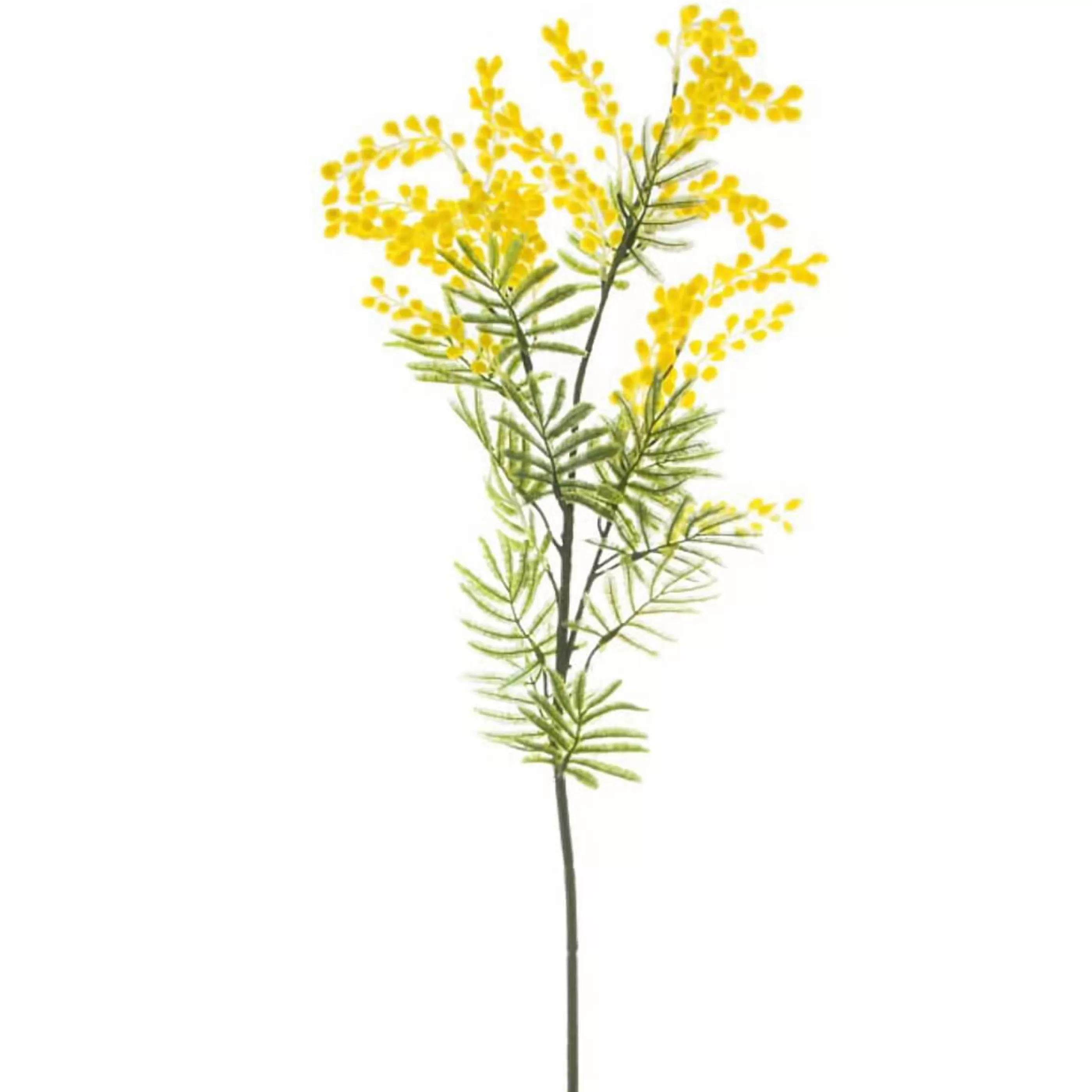 * Floristry | Yellow Australian Native Wattle - 85Cm